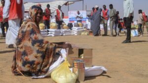 RSF artillery strikes kill 16 civilians in Sudan’s embattled Kordofan
