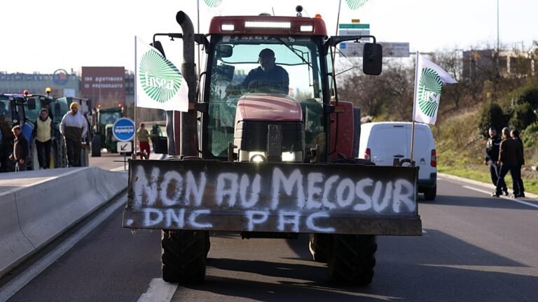 Acordo UE-Mercosul: sindicatos de agricultores recebidos no Eliseu