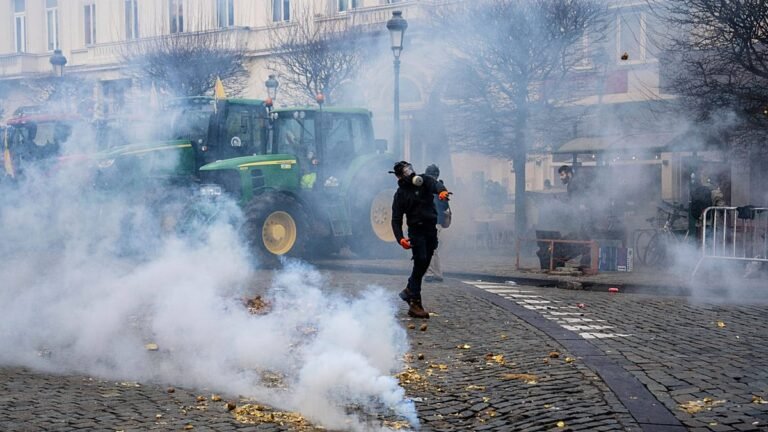 Vídeo. Bruxelas: agricultores confrontam a polícia junto ao Parlamento da UE