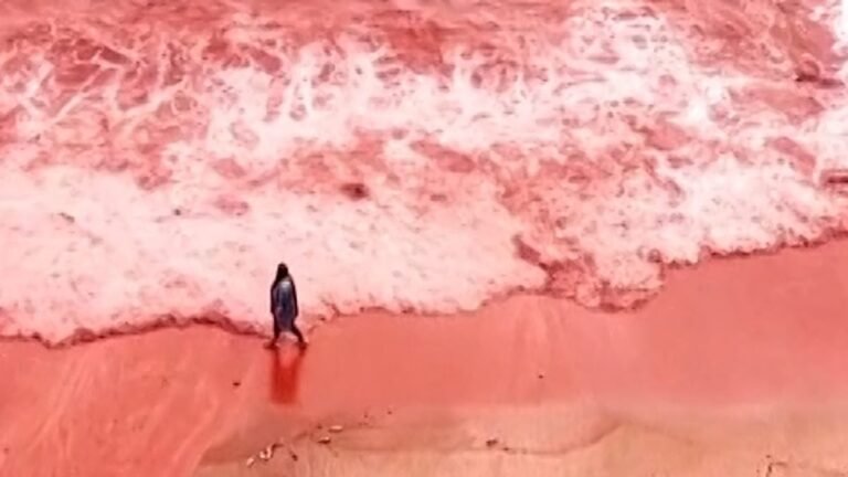 Vídeo. Irão: chuvas intensas tingem de vermelho profundo a praia da ilha de Hormuz