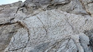 Milhares de pegadas de dinossauro descobertas na Lombardia