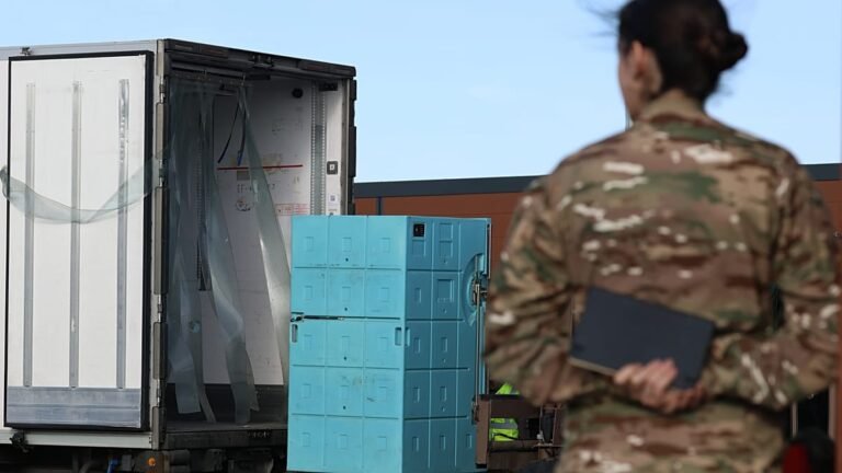 Vídeo. França mobiliza forças armadas para combater surto de doença bovina