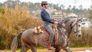 Candidato do Chega detido por abuso sexual de menores