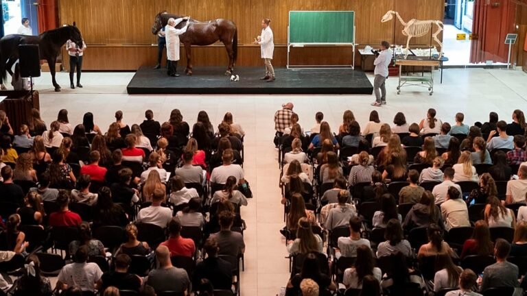 Reino Unido volta a aderir ao fundo europeu do Erasmus+