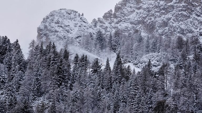 Vídeo. Itália: nevão recorde cobre a estância de esqui de Prato Nevoso antes das festas