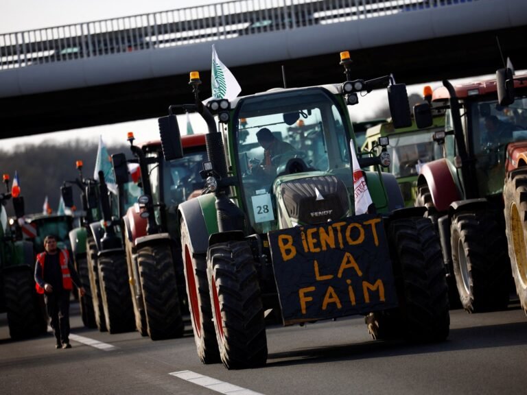 Why are French farmers objecting to EU-Mercosur trade deal?