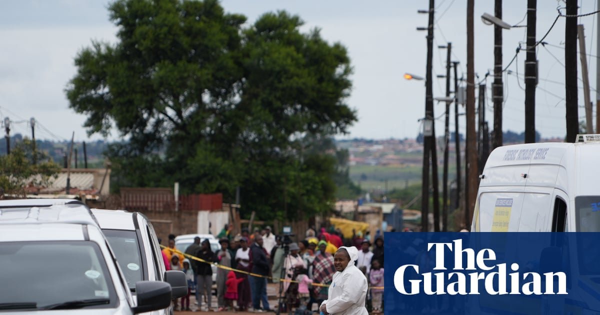 Gunmen kill nine people in township near Johannesburg – video