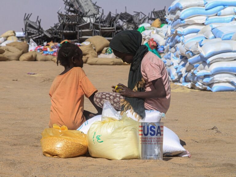 US pushes for ceasefire in Sudan’s civil war as Kordofan violence escalates