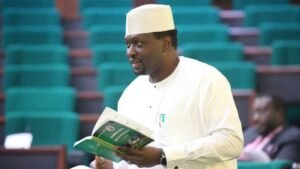 Novas leis tributárias: ‘Delito passível de impeachment’ – Nigerianos reagem como legislador, Dasuki alega alteração