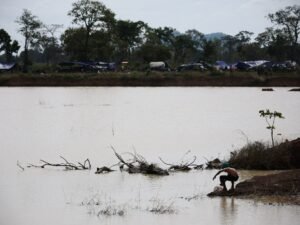 Cambodia blames Thailand for ‘ruthless’ bombardment amid border talks