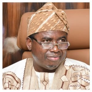 O chefe do INEC, Amupitan, busca apoio do Senado antes das eleições de 2027