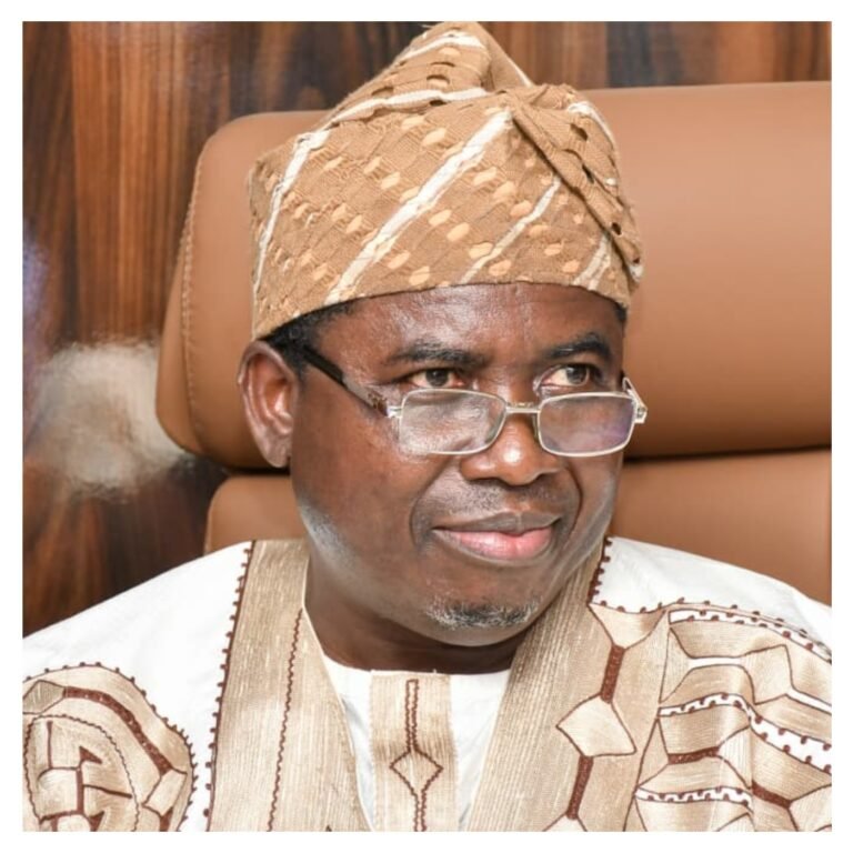 INEC boss Amupitan seeks Senate support ahead of 2027 election