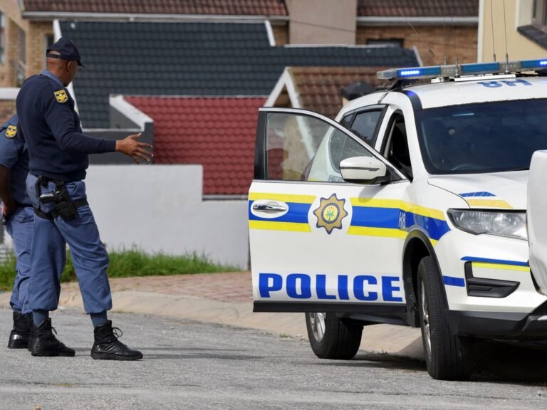 Manhunt under way after nine people killed in South Africa shooting