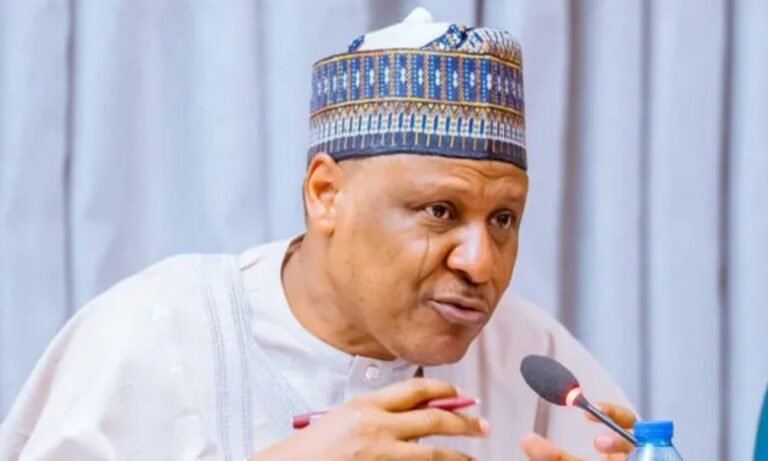 Security: No hiding place for terrorists in our forests - Nigerian govt