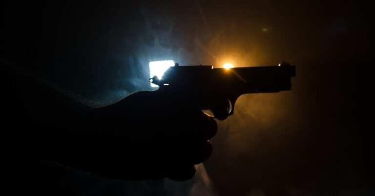 Nine people killed in Bekkersdal tavern shooting