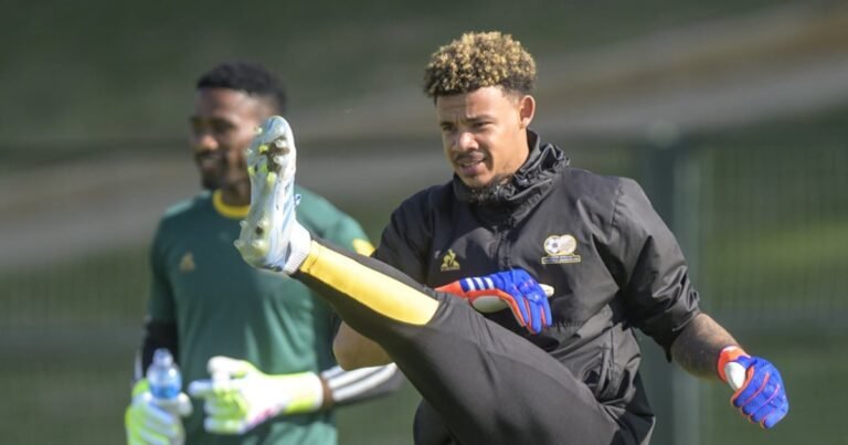 EDITORIAL | Bafana have dared us to dream again — 64-million of us send them our will