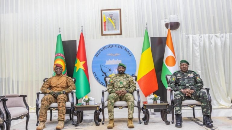 Sahel summit: What is the biggest challenge facing the region?