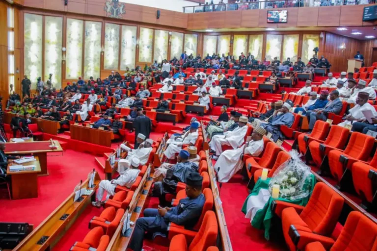 Presidency breaks silence on alleged discrepancies in tax laws