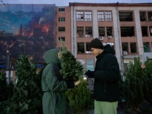 Ukraine accepts demilitarised zone to end Russia war, but do DMZs work?