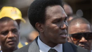 Mondlane rejeita que manifestações em Moçambique sejam "criminosas"