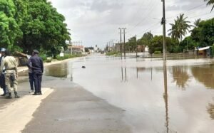 Polícia frustra pilhagem de bens em Xai-Xai -...