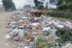 Lixo Insuportável no Bairro Luís Cabral: Moradores clamam por intervenção Urgente