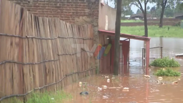 Intempéries em Lichinga: Chuvas Destroem Mais de 1.700 Casas e Provocam Duas Mortes