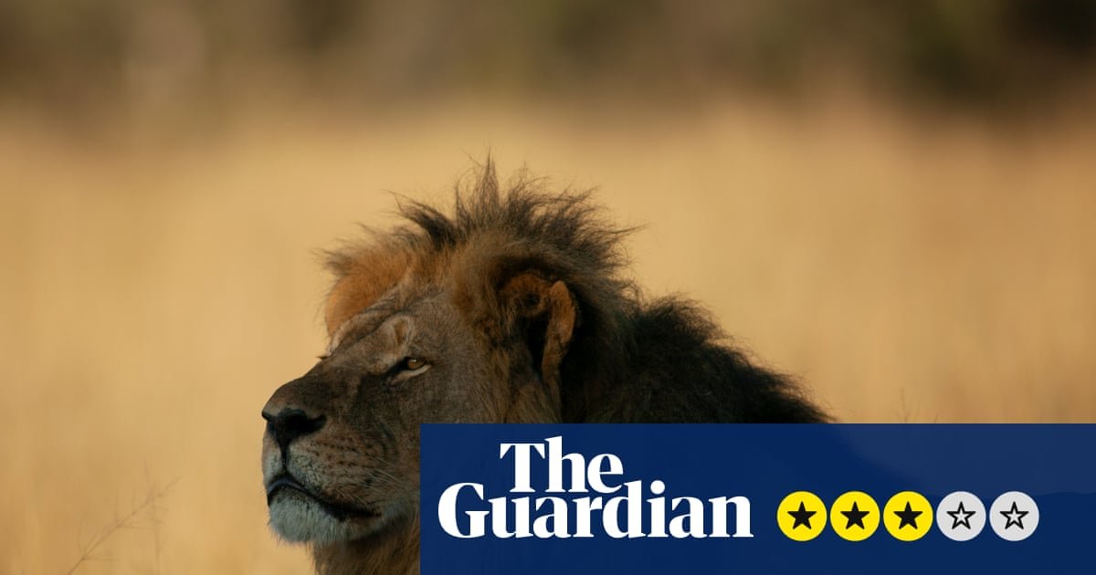 Cecil: Crítica do Leão e do Dentista – por dentro da horrível morte de um grande felino que indignou o…