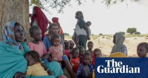 A rare chronicle of war, survival and devastation in Darfur – in pictures