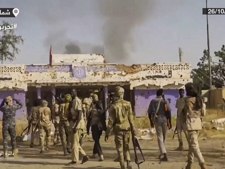 At least 28 people killed as Sudan paramilitary force tears through Darfur