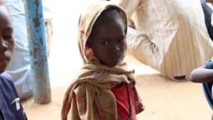 Famine conditions spread to more towns in Sudan’s Darfur, experts warn