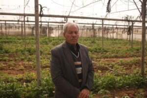 Agricultores em Gaza arriscam balas israelenses para trazerem seus campos de volta à vida