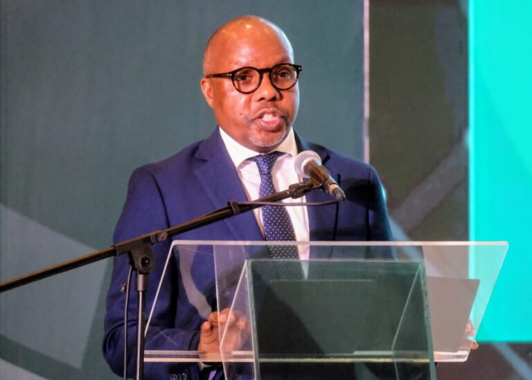 TRANSFORMAÇÃO DIGITAL: Governo aposta na…