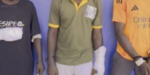 Três detidos por roubo de 21 cabeças de gado...