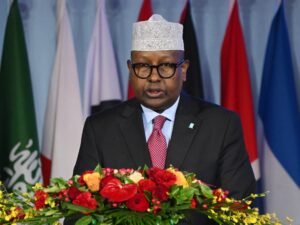 Somalia, Saudi Arabia sign agreement on military cooperation