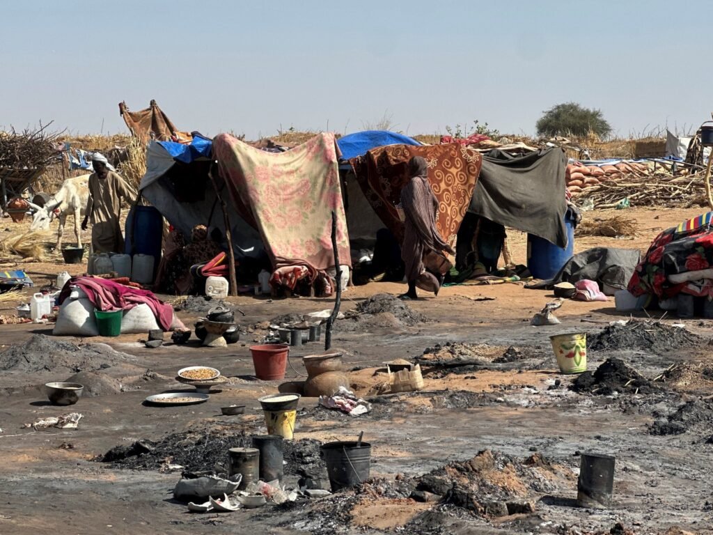 UN mission finds RSF destruction in el-Fasher bears ‘hallmarks of genocide’