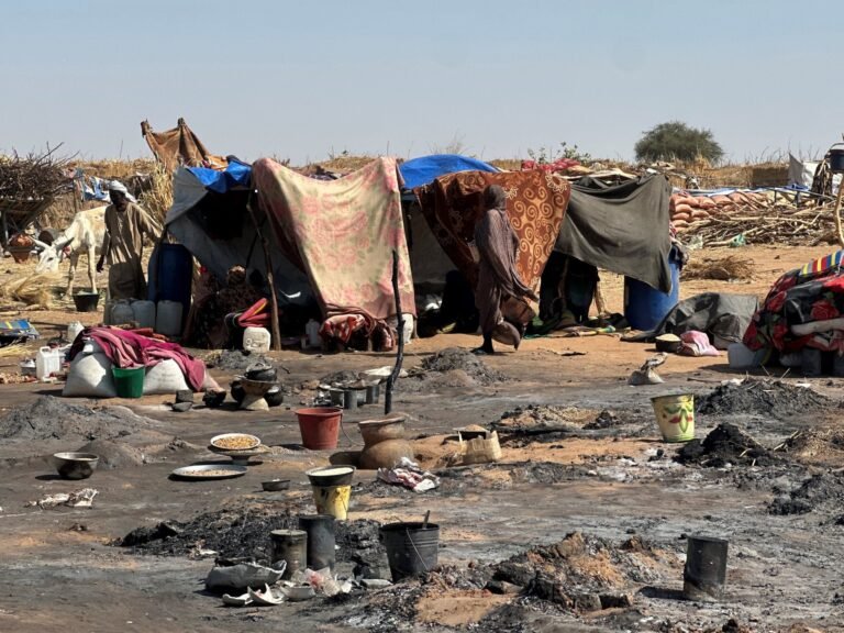 Missão da ONU conclui que destruição da RSF em el-Fasher traz “marcas de genocídio”