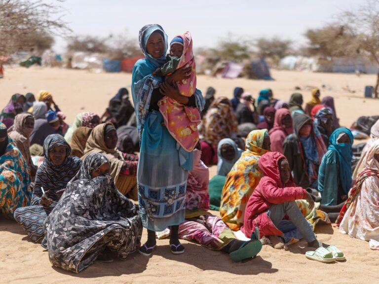 UNSC condemns RSF attacks in Sudan’s Kordofan, calls for an end to the war
