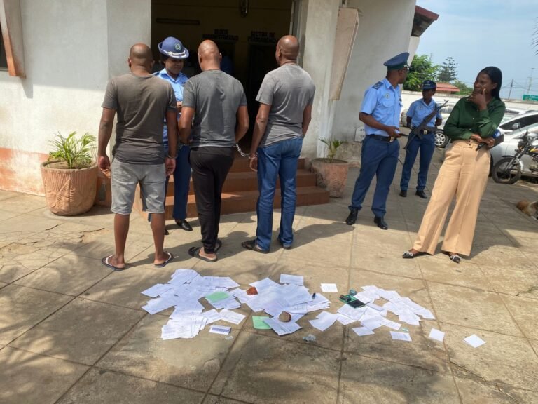 Desmantelada rede de falsificação de…