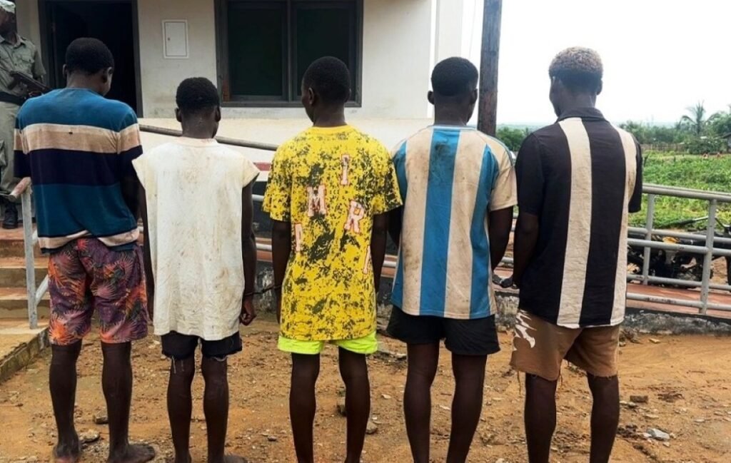 Detidos seis jovens suspeitos de vandalismo -...