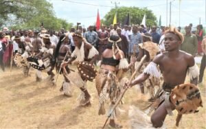 Gwaza Muthini assinalado sem festa devido ao...