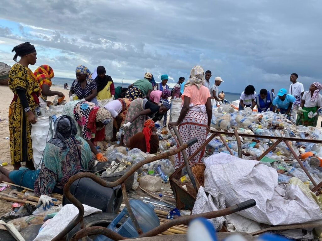 Modelos de gestão de lixo devem adequar-se à...