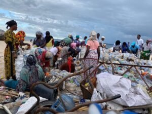 Modelos de gestão de lixo devem adequar-se à...
