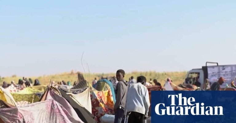 Two drone strikes on civilian targets kill 28 people in Sudan