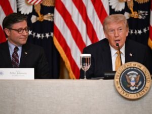 Trump diz que ajuda no Estreito de Ormuz está a caminho, enquanto aliados rejeitam ação militar