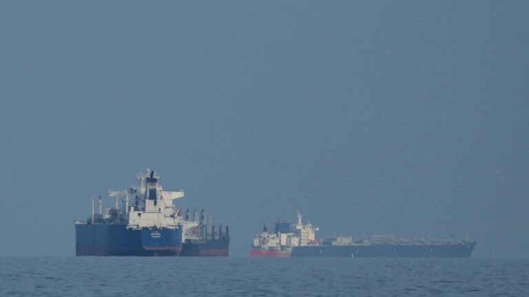 US military ‘not ready’ to escort oil ships through Hormuz, official says