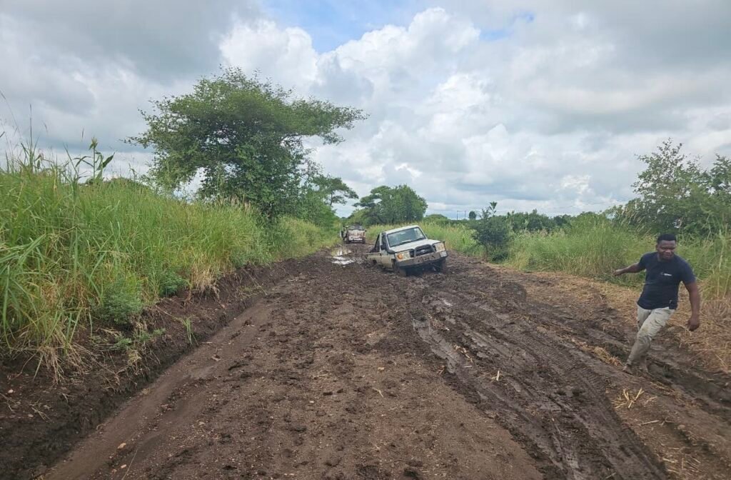 Chuvas condicionam transitabilidade em Gaza,...