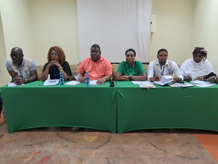 Cem organizações reforçam apelo para o fim...