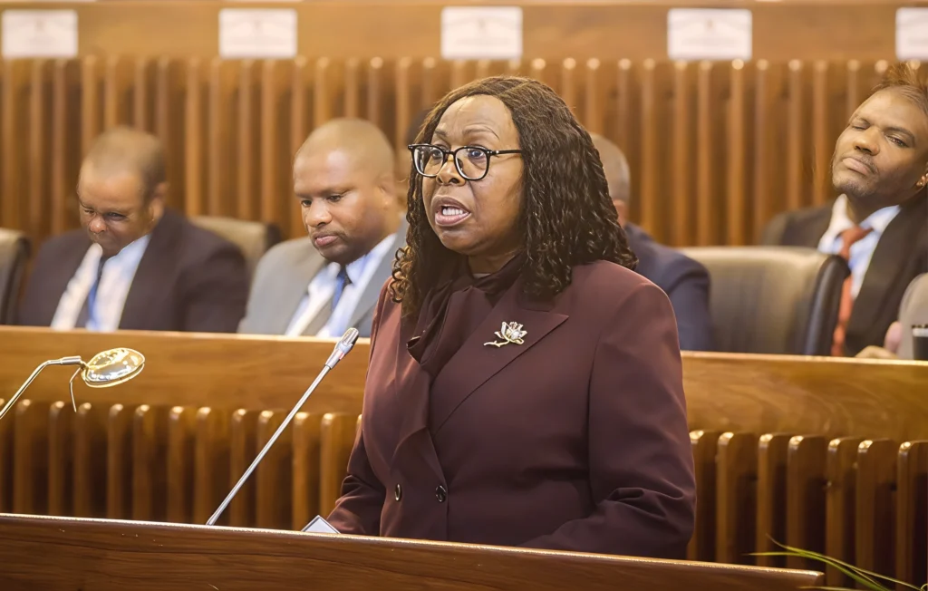 Primeira Ministra de Moçambique