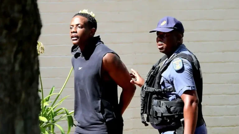 Filho de Robert Mugabe declara-se culpado em caso de arma de fogo em Joanesburgo